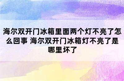 海尔双开门冰箱里面两个灯不亮了怎么回事 海尔双开门冰箱灯不亮了是哪里坏了